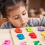Cognitive Development Toys